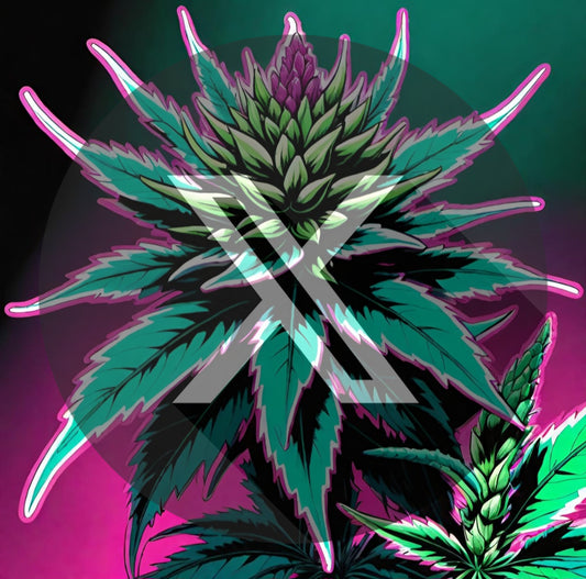 BLACK RUNTZ